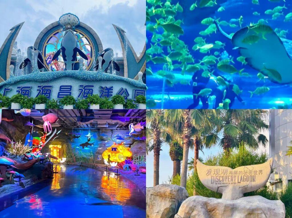 2026 Shanghai Haichang Ocean Park Guide • Tickets & Shows