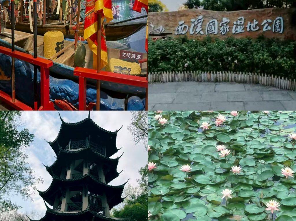 Xixi Wetland Nature Park: Complete China Travel Guide for Your China Trip 2026