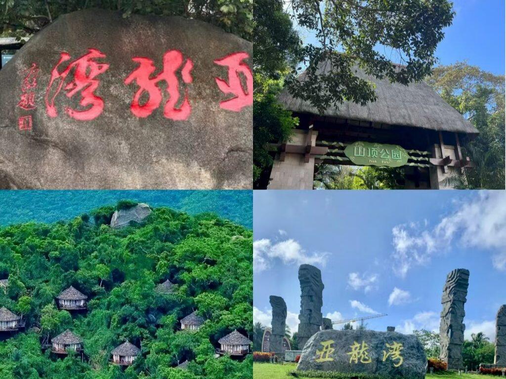 2026 Yalong Bay Tropical Paradise Forest Park: Glass Bridge & Rainforest Views