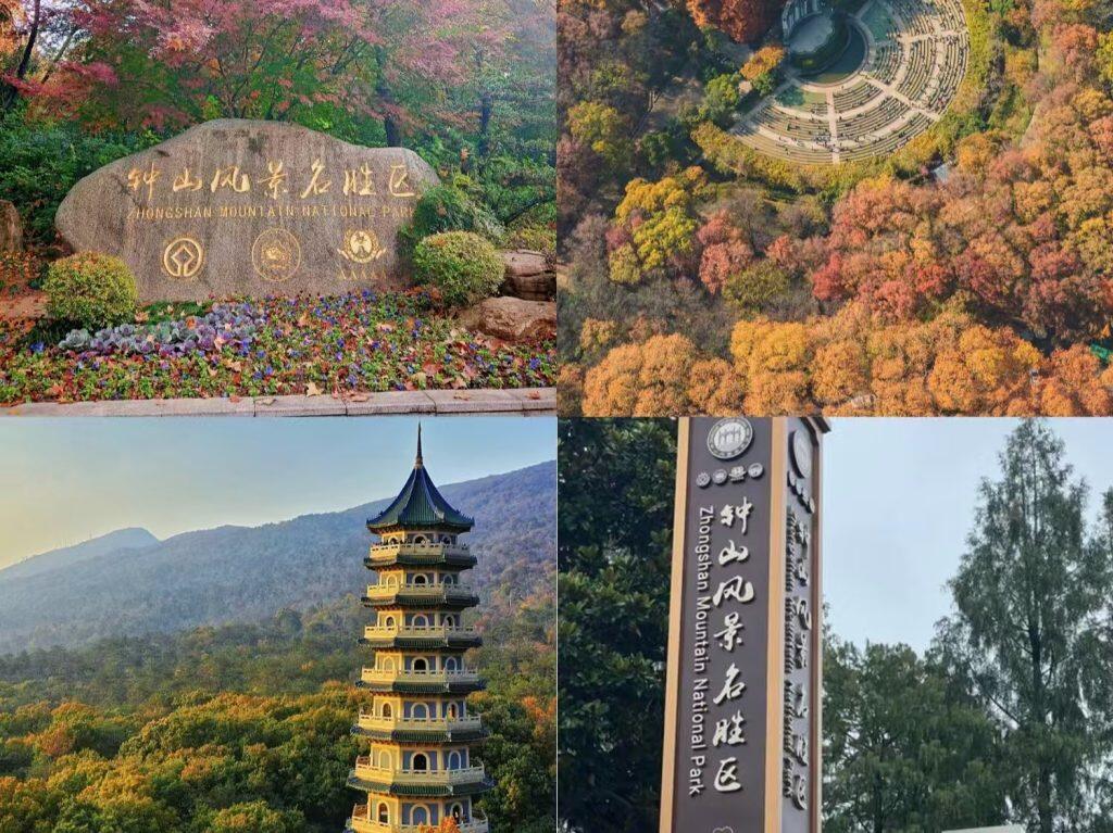 Zhongshan Scenic Area Travel Guide 2026 | History & Nature Paradise