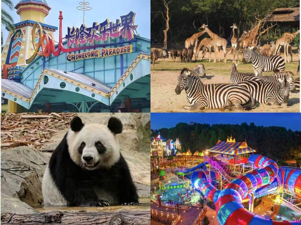 China Trip Fun: Chimelong Resort Ultimate Guide