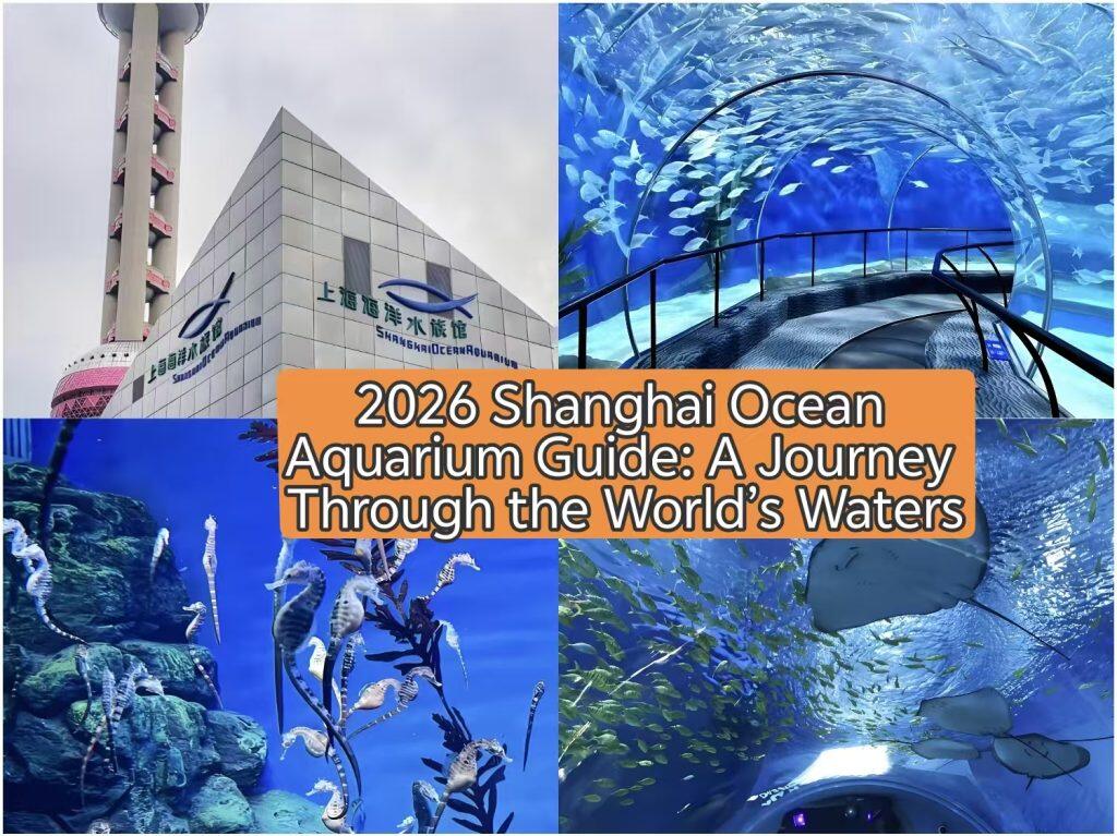 2026 Shanghai Ocean Aquarium Guide: A Journey Through the World’s Waters