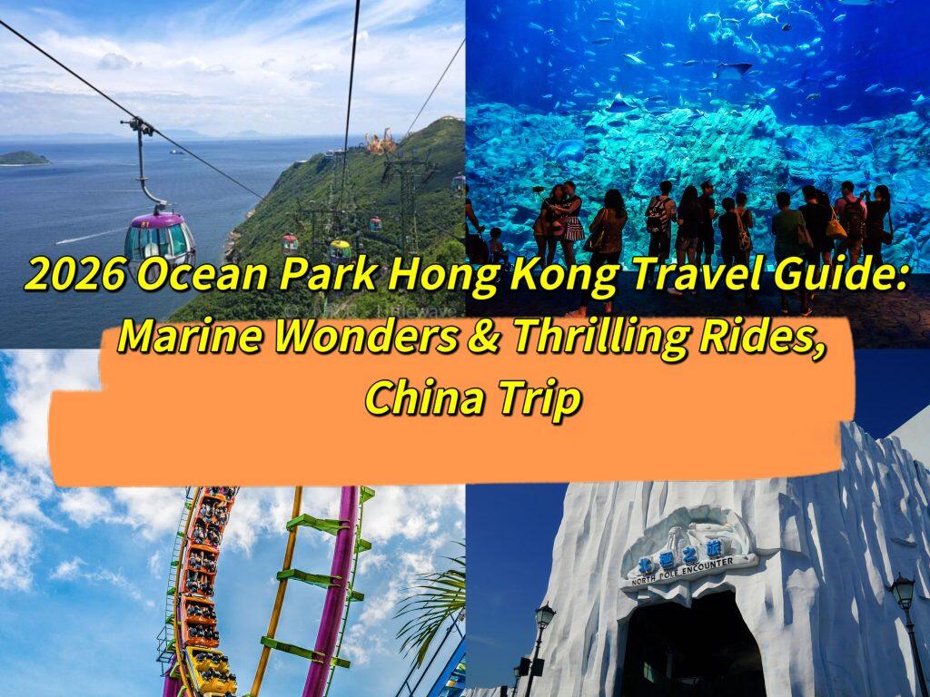 2026 Ocean Park Hong Kong Travel Guide: Marine Wonders & Thrilling Rides, China Trip