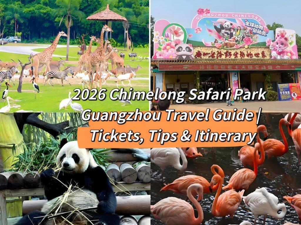 2026 Chimelong Safari Park Guide: Complete Travel Tips for Guangzhou’s Wildlife Paradise