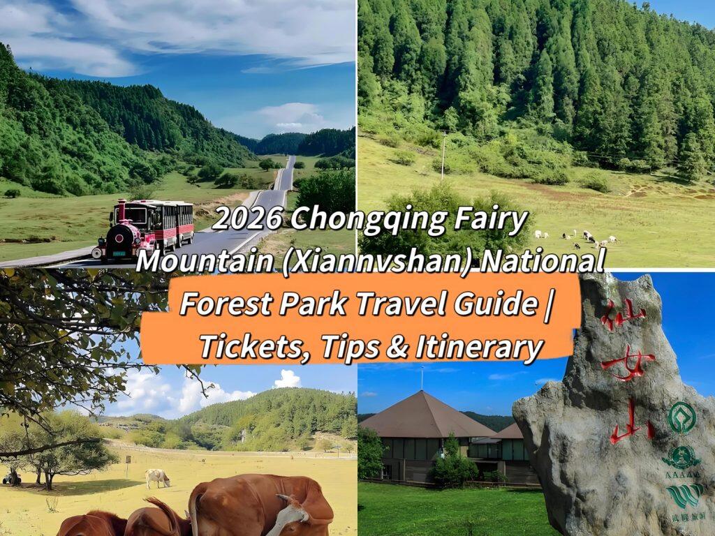 2026 Chongqing Fairy Mountain (Xiannvshan) Guide: Tips for the Karst Forest National Park